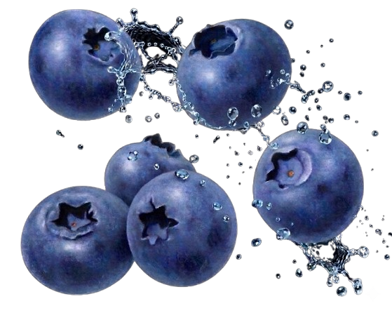 Blueberry